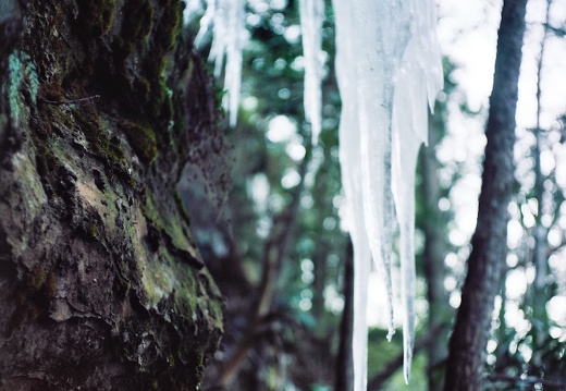 Ice on the Sheltowee Trace